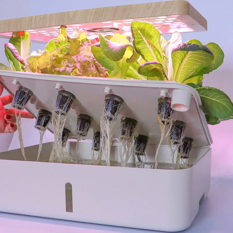 Smart Hydroponic Kits with LED Lights, Indoor Intelligent Planting, Lettuce, Tomato, Flower, Fruit at Home, Office, 12 Plants