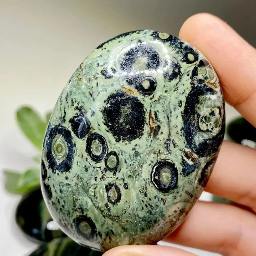 1pc Natural Green Kambaba Jasper Crystal Palm Stone Polished Green Worry Pcoket Stone for Home And Office Decor