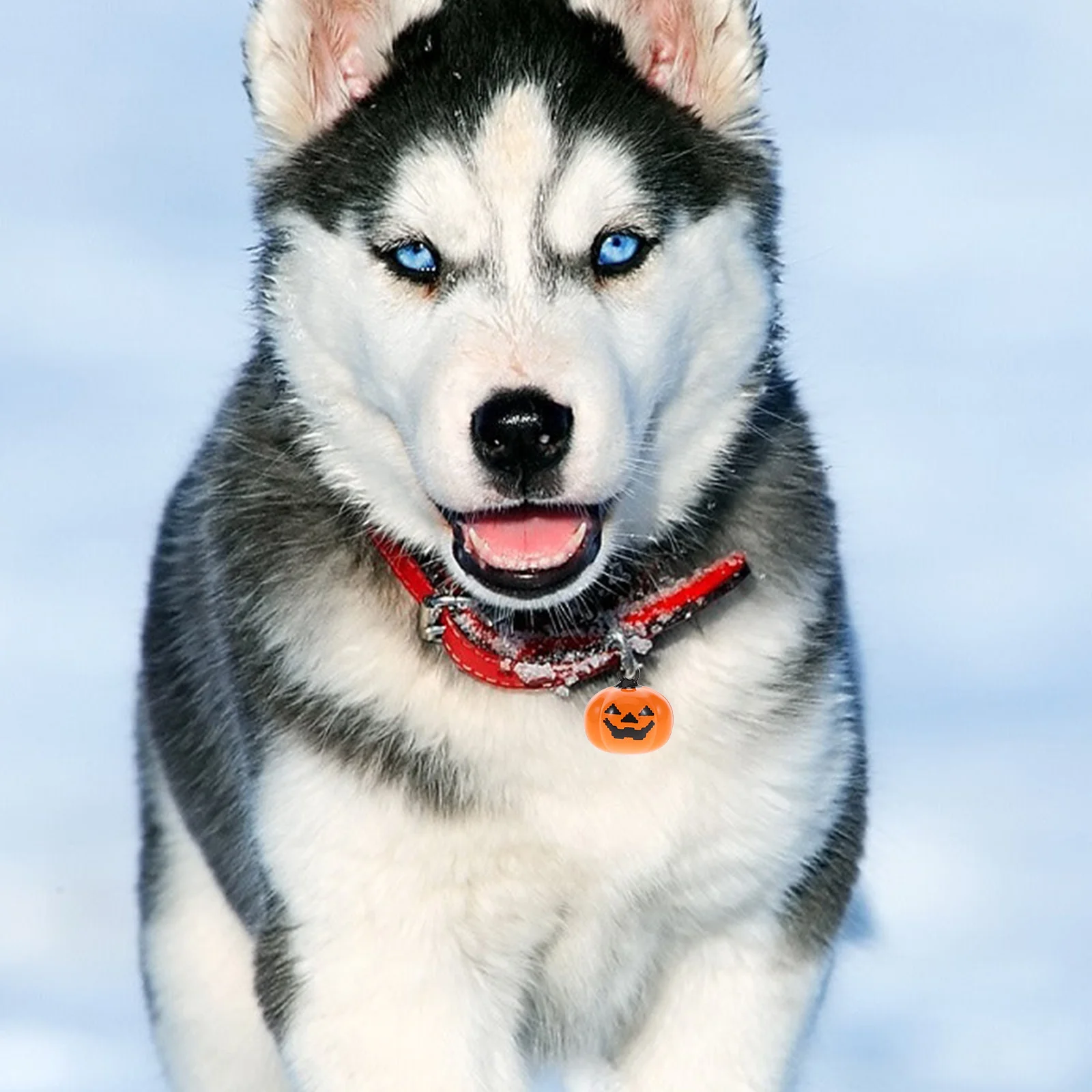 

20Pcs Pumpkin Pet Bells Copper Durable Cartoon Pendant Comfortable Dog Necklace Quick Release Buckle Ringing Bells