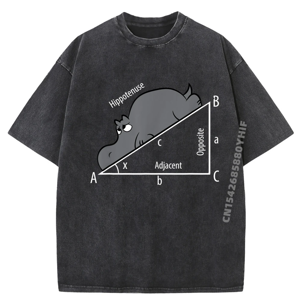 

Funny Math Humor Hippotenuse Hypotenuse Funny Sports T Shirt Men Streetwear Washed T-Shirt Men Cotton Fashion Casual Clothes
