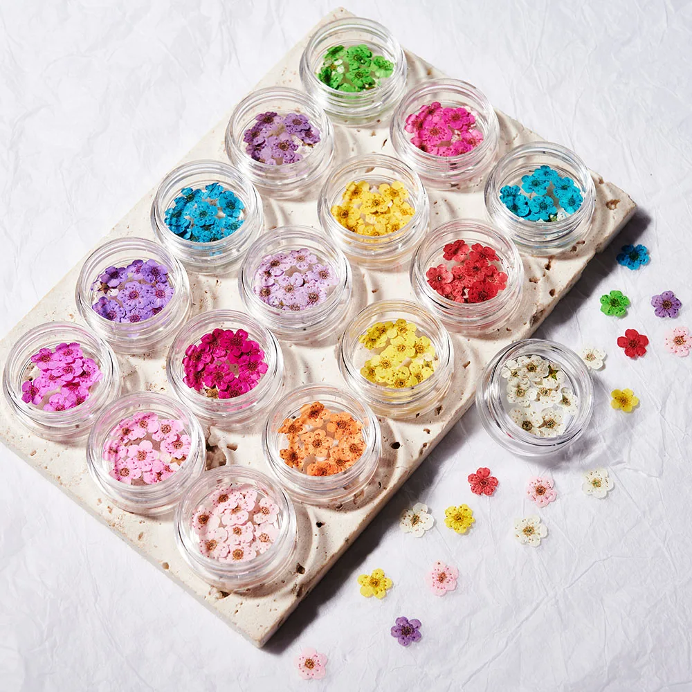 10pcs/Box Real Natural Mini Dried Flowers Nail Charm Y2K 16Color 3D Dried Flower Nail Art Parts DIY Flakes for Manicure Supplies