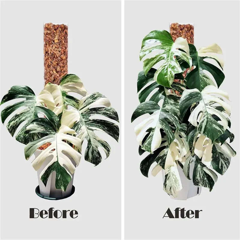 N84R 8 Pcs 17 Inch Plastic Moss Pole For Plants Monstera,Designed Specifically For Climbing Plants, Stackable Plant Support