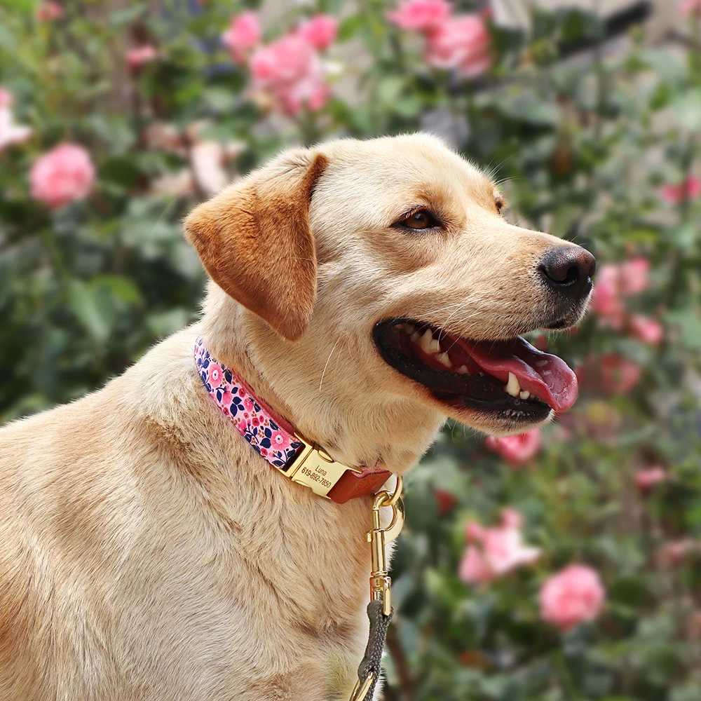 Personalized Nylon Dog Collar Printed Dog Collars Free Custom Pet ID Necklace Adjustable for Small Medium Large Dog Pitbull Pug