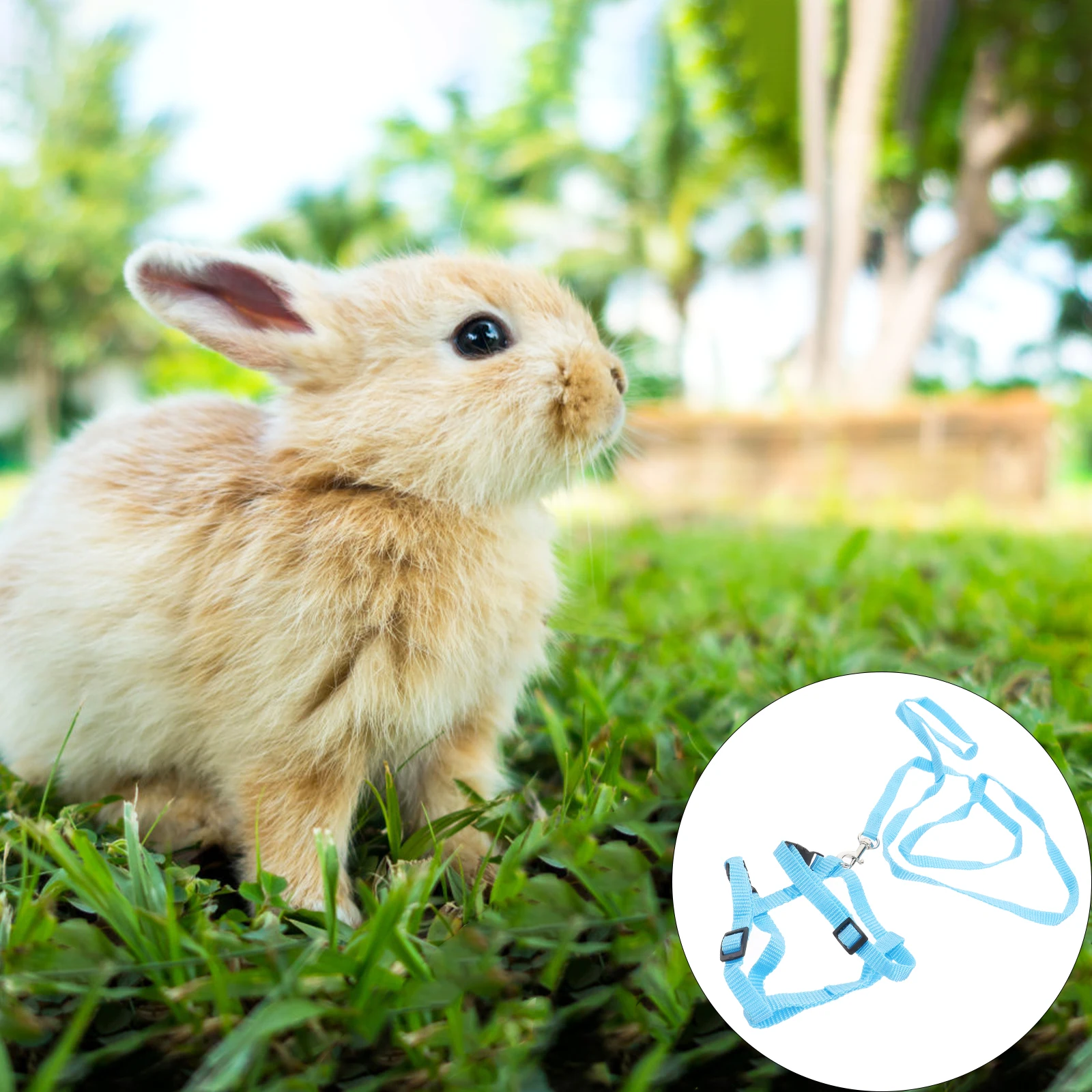 

Bunny Walking Leash Puppy Harness Rabbit Traction Strap Pet s for Rabbits Pulling Rope
