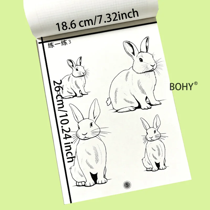 1 Animal Coloring Exercise Book, Including Themes As Lions, Rabbits, Squirrels, Sheep, Kangaroos and Other Animals, 24 Pages