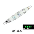 J163-C4