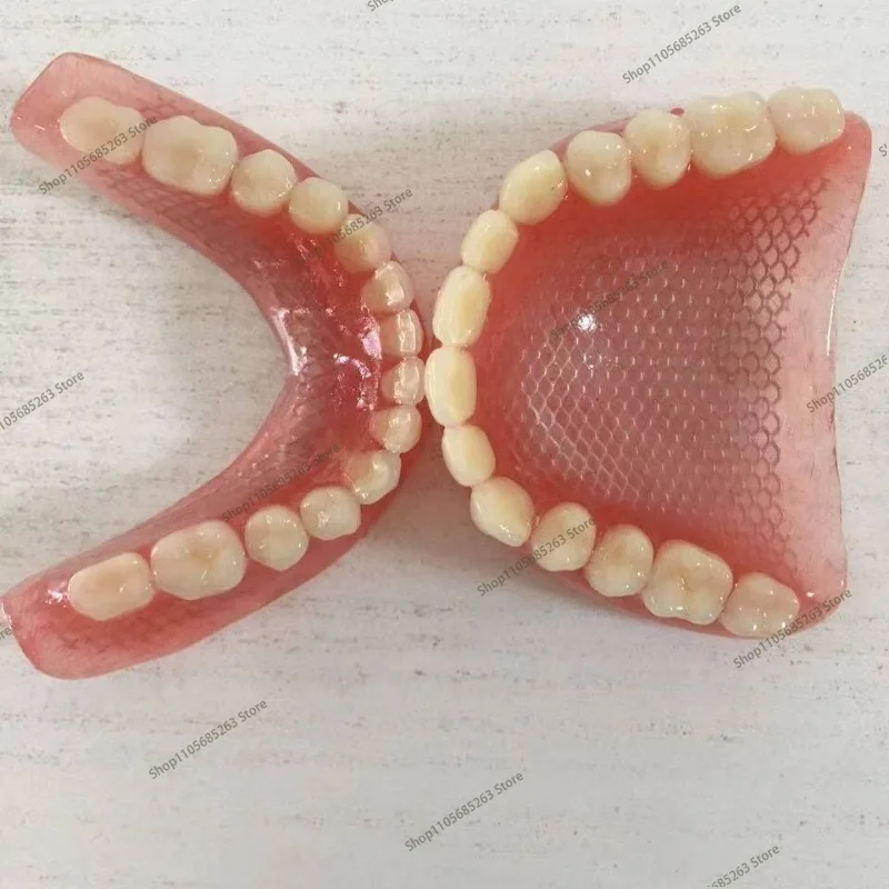 Wholesale full mouth denture sample models and elderly full mouth and half mouth tooth models are available