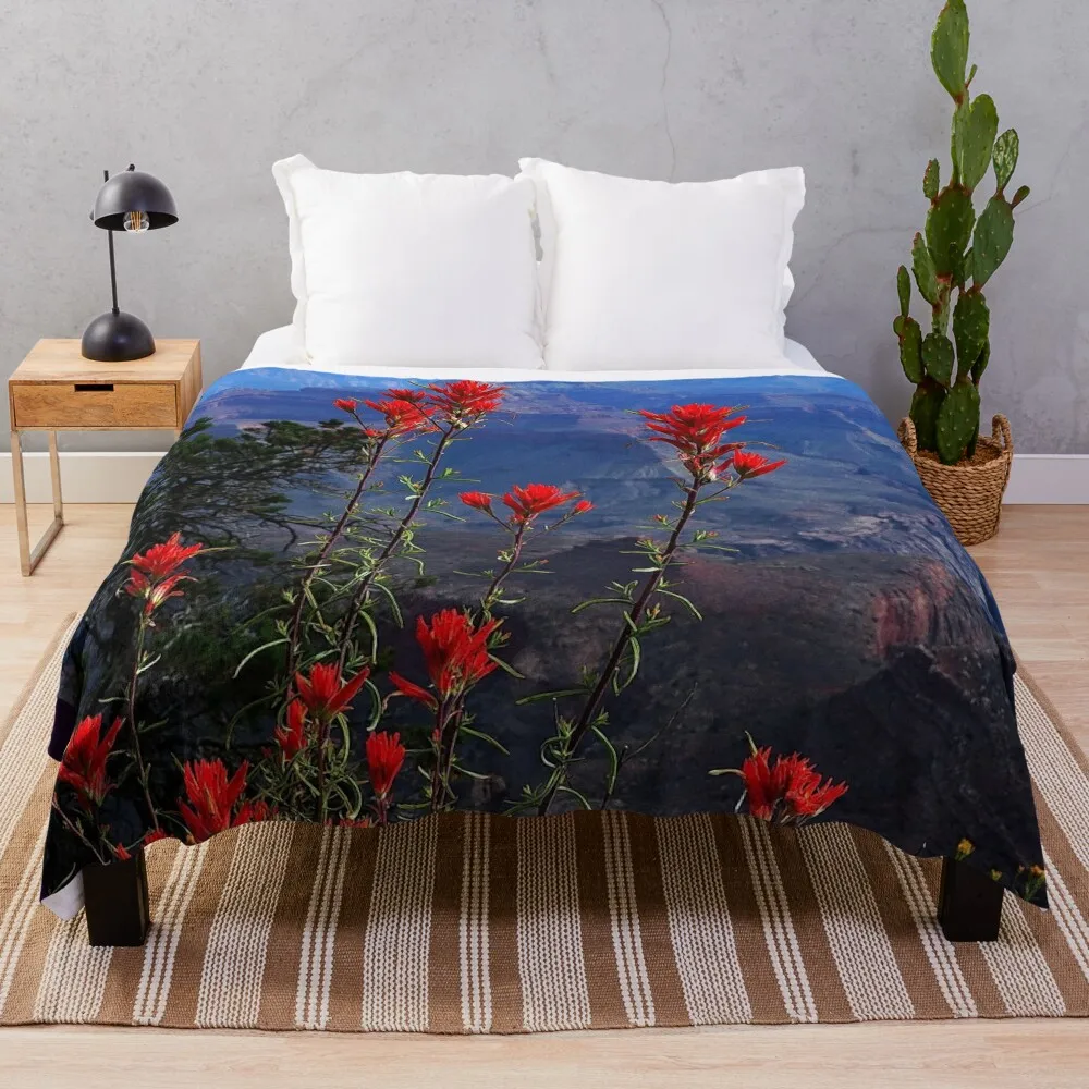 Desert Paintbrush Wildflowers Grand Canyon Arizona Throw Blanket Sofa Soft Beds Single Blankets