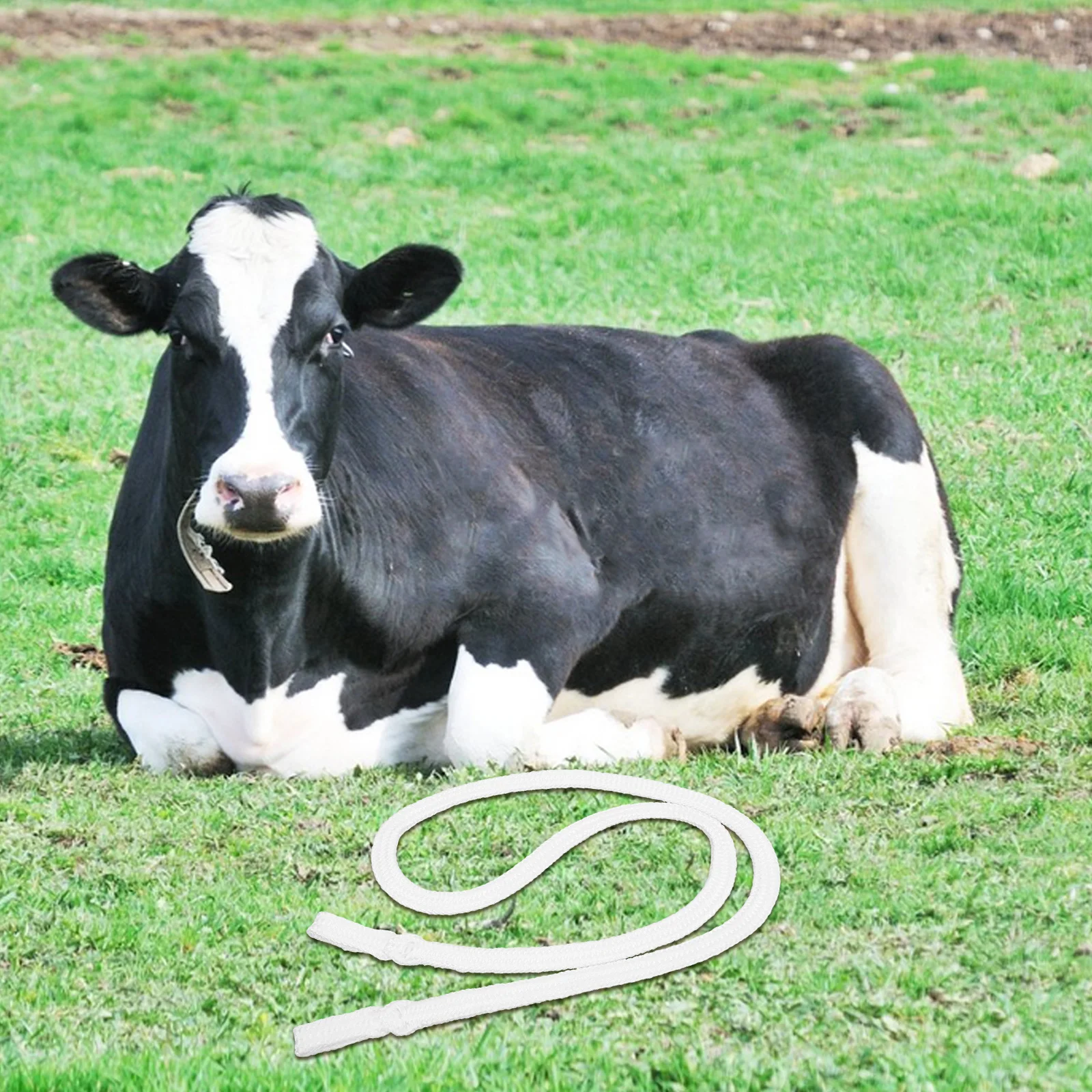 

1pc Cow Delivery Rope Tools High Strength Chinlon Obstetric Care Cattle Supplies Livestock Birthing Aid Midwifery Rope