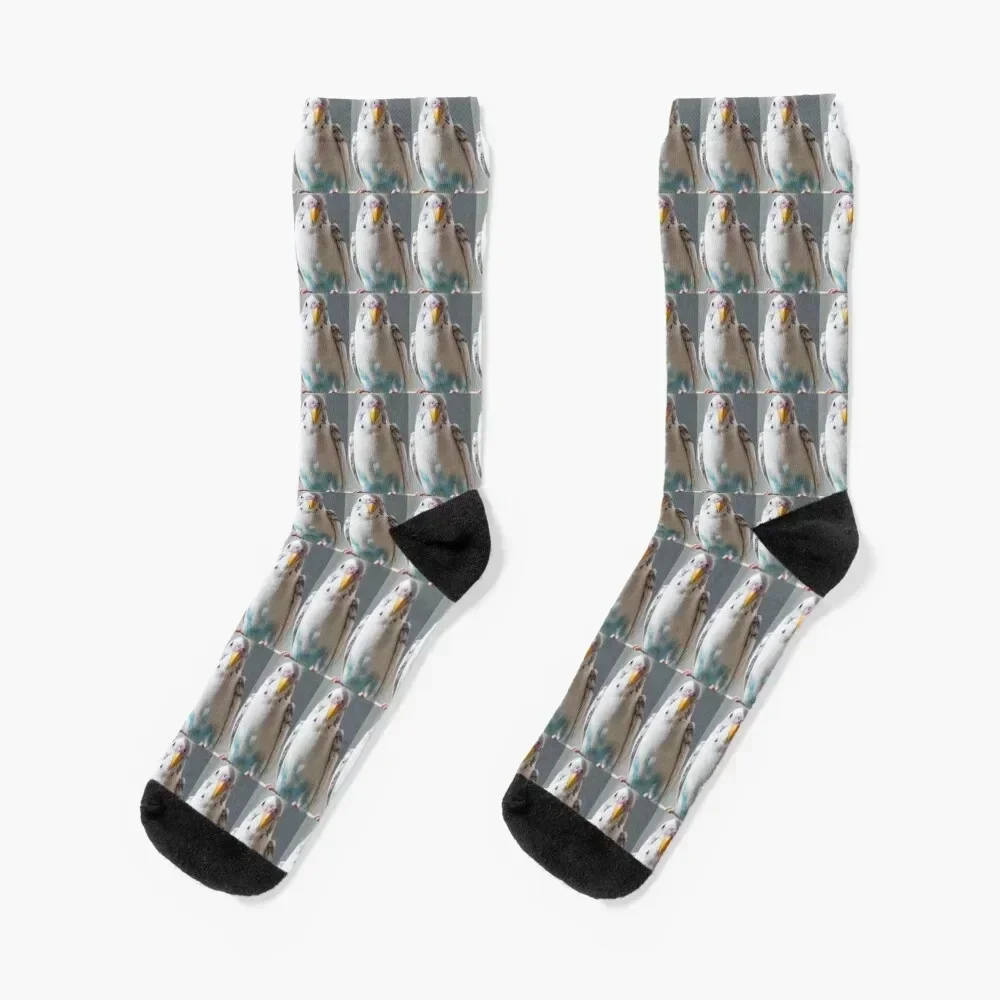 

White and Blue Parakeet Socks japanese fashion Thermal man winter funny gifts funny sock Socks Girl Men's