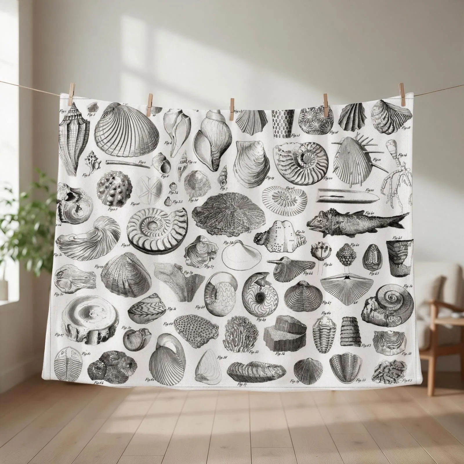 1857 Diagram Paleontology: Fossils Throw Blanket Weighted Loose Luxury Brand Soft Beds Blankets