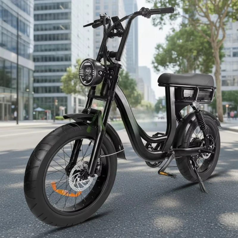 250w 750w 1000w Women Fat Tire Wheel Step Through Electric City Bike Rear Hub Motor