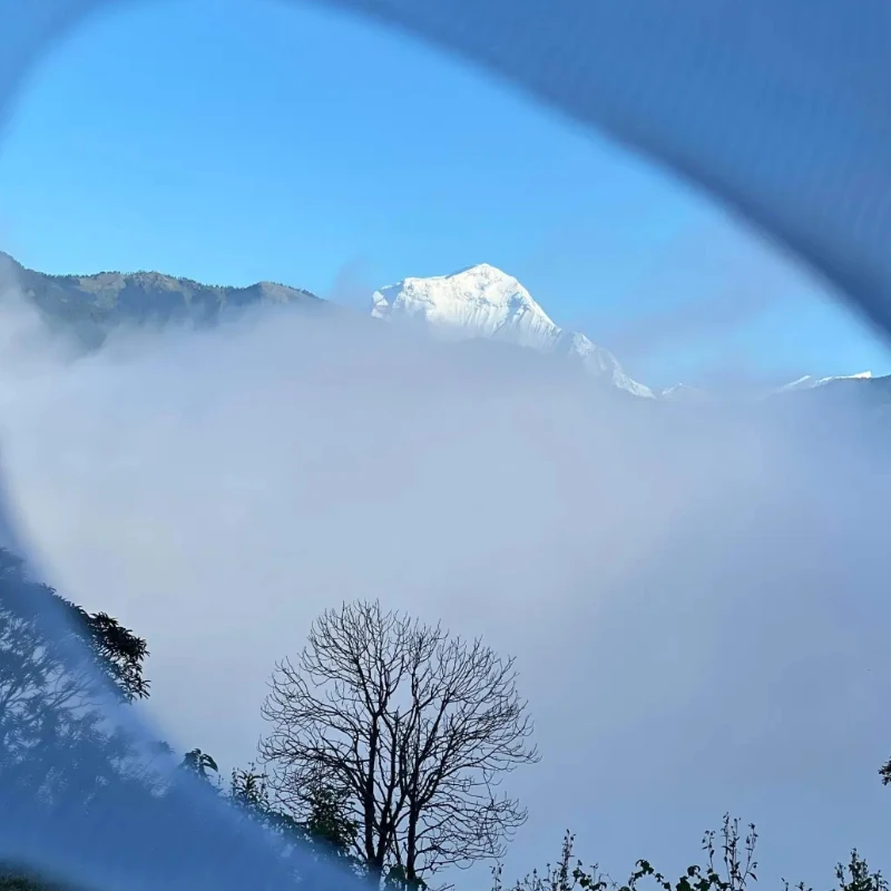 

GEPRC SPEEDX2 2207 Brushless Motor - 1960KV 6S for 4-5inch FPV RC Racing Multicopter DIY Parts