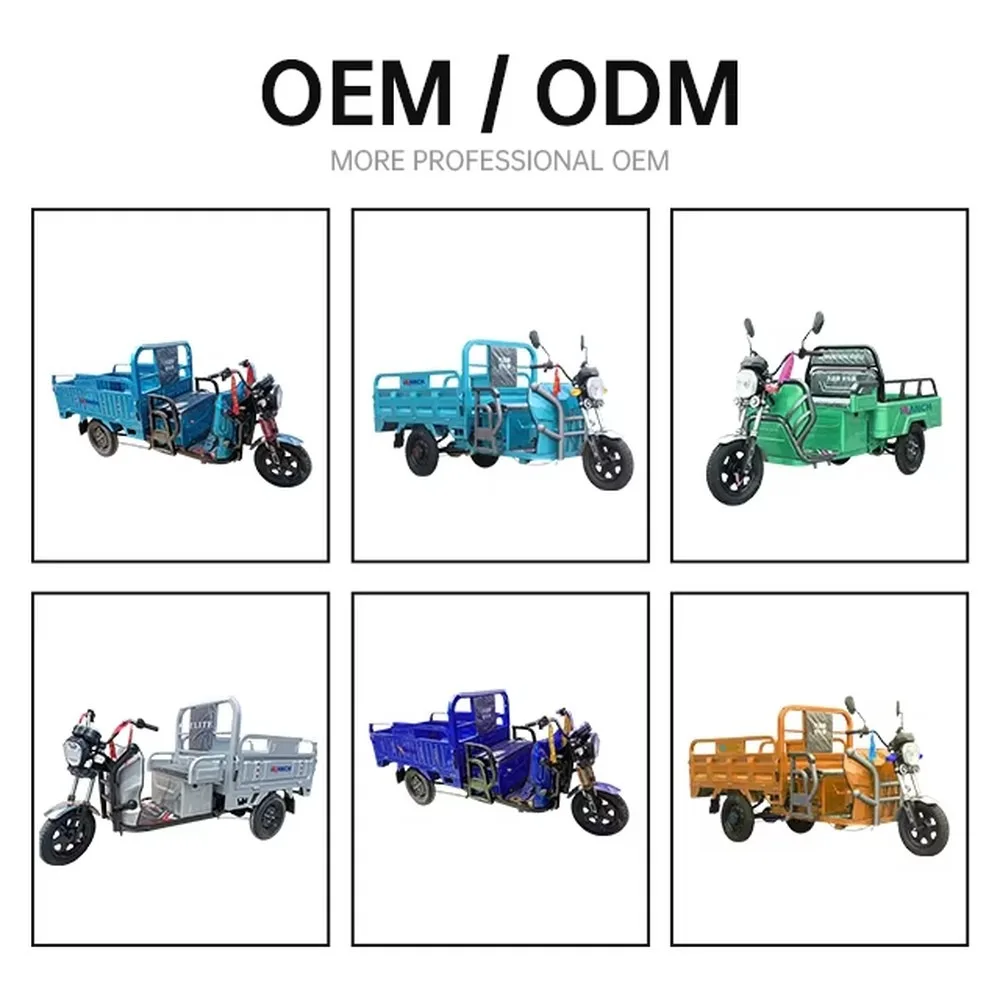 Electric Mini Truck 500kg Payload 1000W Motor Cargo Tricycle 60V Adult Delivery Vehicle with Open 3-Wheel Box