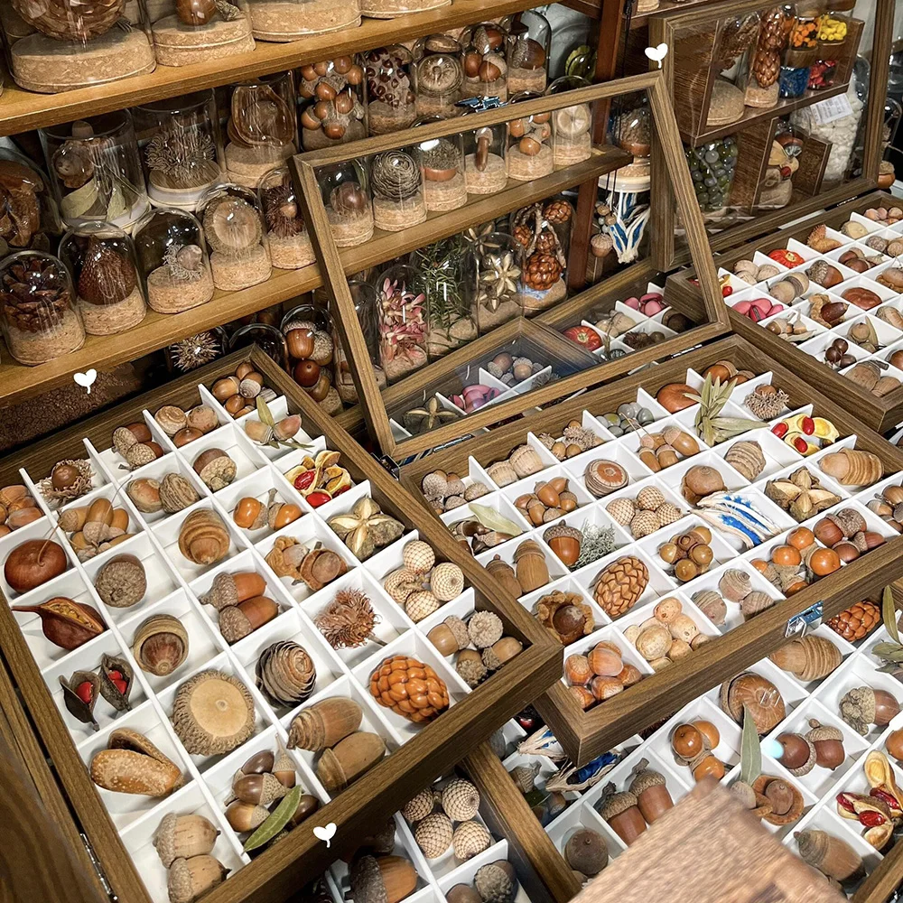 Wooden Specimen Display Box 18 24 30 Grids Glass Lid Natural Collection Storage Case Small Collectibles Desktop Decor