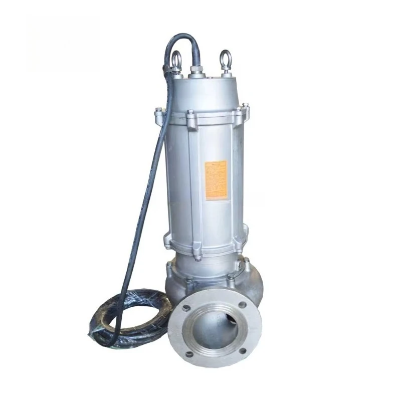 Vertical Seawater Submersible Sea Water Pump