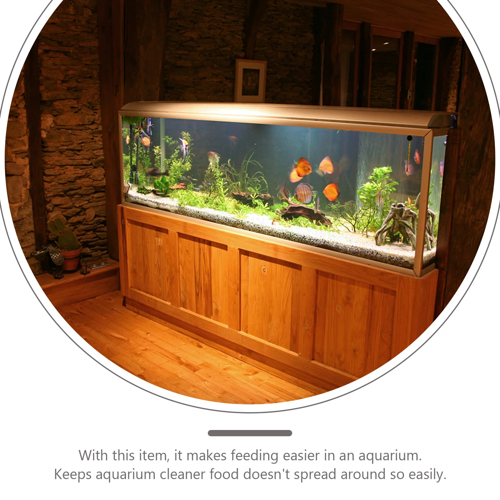 2 قطعة وحدة تغذية الأسماك الأحمر دودة حامل الطعام حوض السمك أدوات تغذية مادة متينة تصميم مدمج مناسب لجميع أنواع أحواض السمك