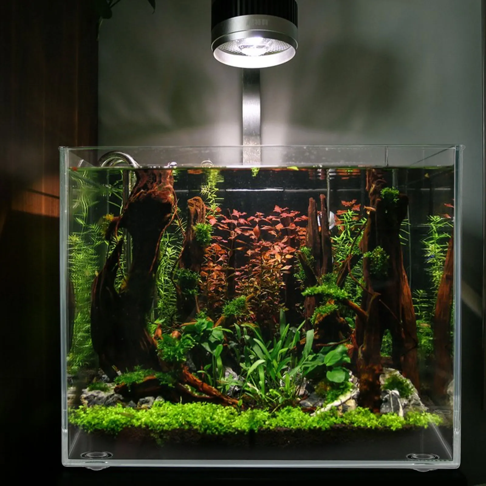 

Stylish Plastic Mini Aquarium Tank Betta Bowl Home Decor Easy Cleaning Multi-Functional Small Water Tank Turtle Plant Container