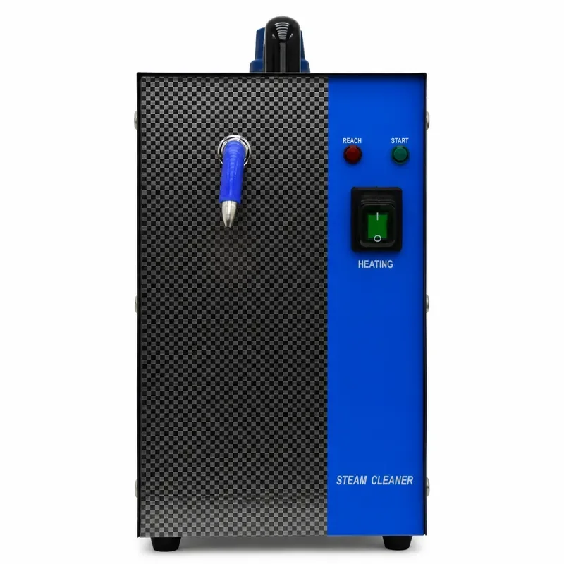 DS800S-2L Jewelry Steam Cleaner 1300W 2L Gold Silver Gem Washer Machine Goldsmith Equipment Tools 110V 220V Cleaning Device