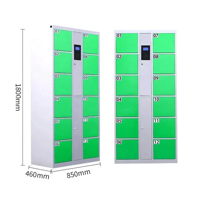 Modern Design 12 Door Smart Parcel Delivery Locker Customized Self Coding Locker Password Storage Cabinet