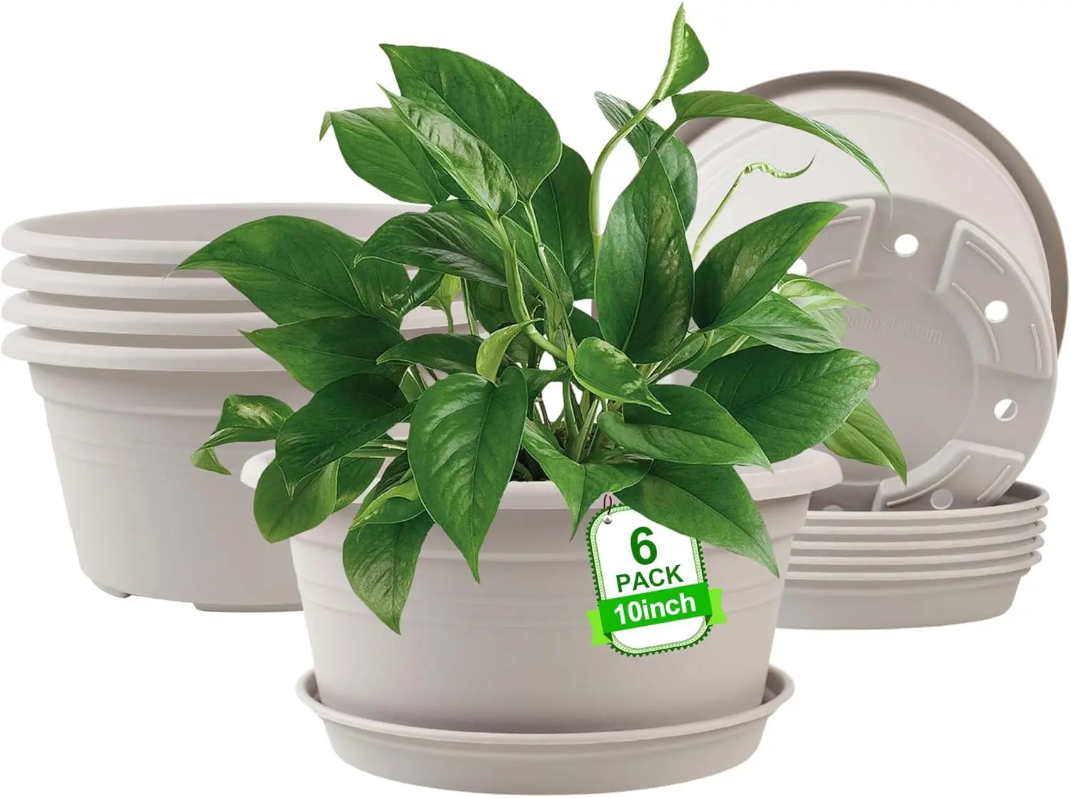 

6 Pack 10 inch Plant Pot, Outdoor Pots for Plants with Drainage Hole & Tray Saucer, Round Plastic Plant Pot, Decoration