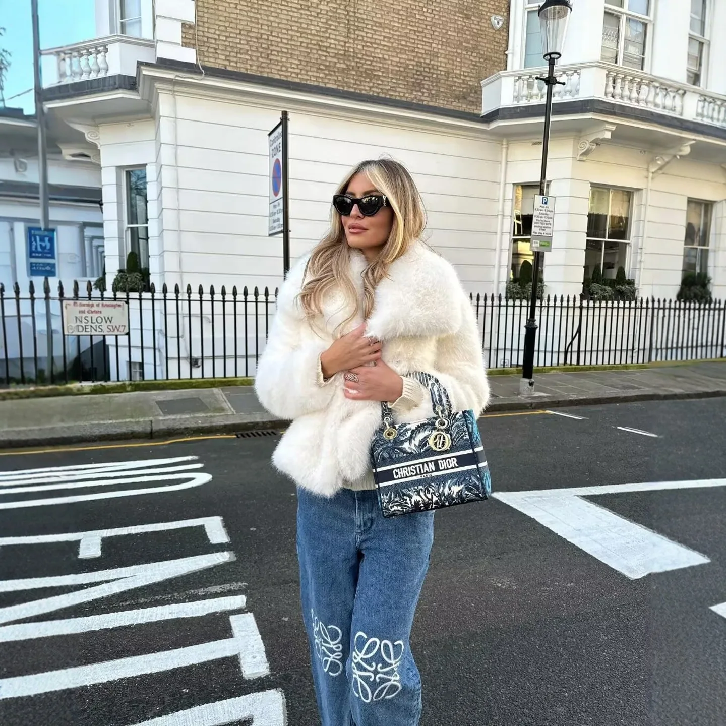 

2025 Large Lapel Faux Jacket for Women, Fluffy Casual Fox Fur Jacket for