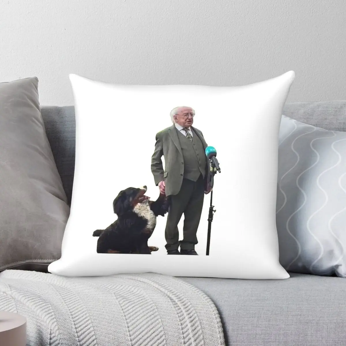 Michael D. Higgins & His Dog Square Pillowcase Polyester Linen Velvet Printed Zip Decor Bed Cushion Case