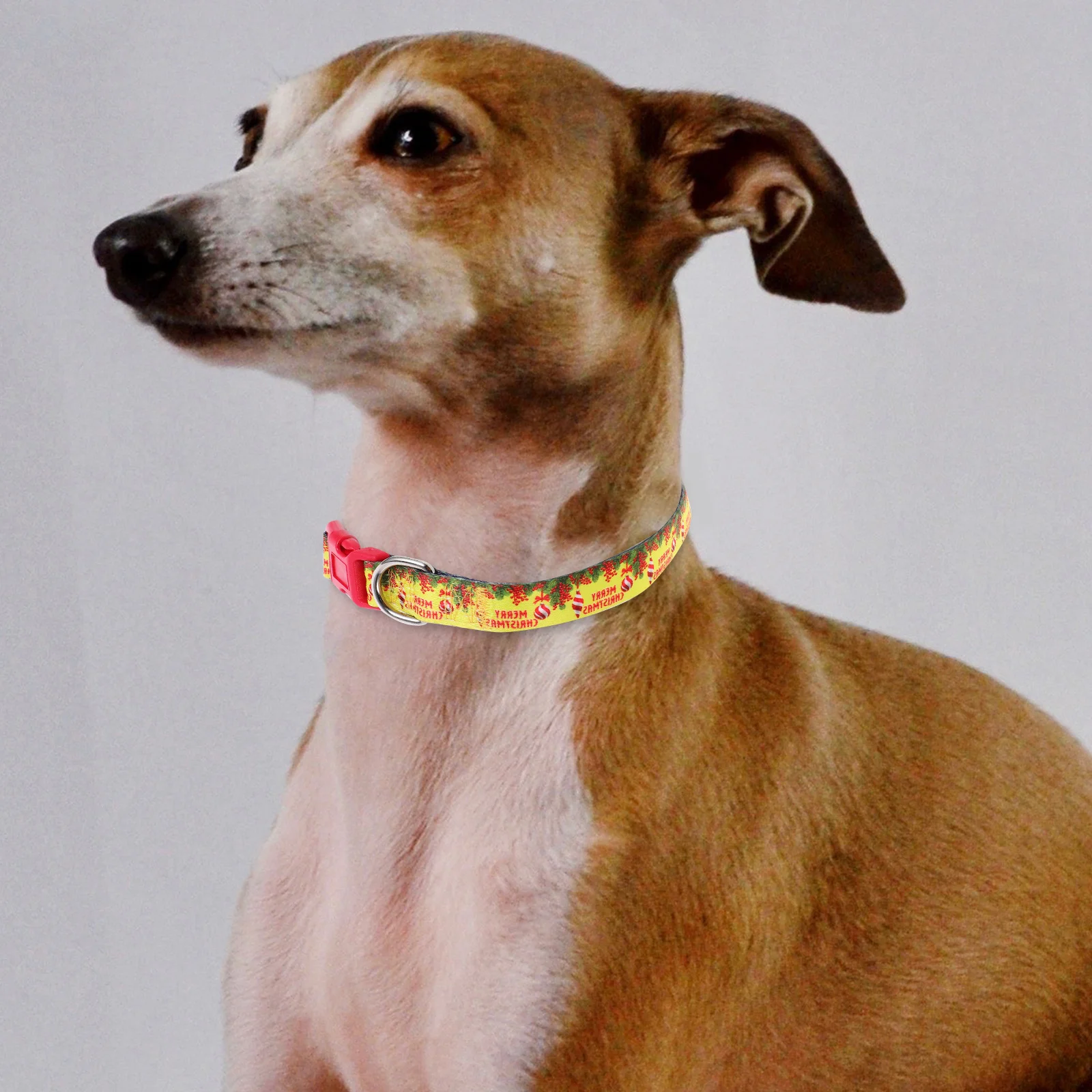 

Small Adjustable Christmas Dog Collar Lightweight Safety Buckle Comfortable Puppy Collar Xmas Party Holiday Dog Holiday Collars