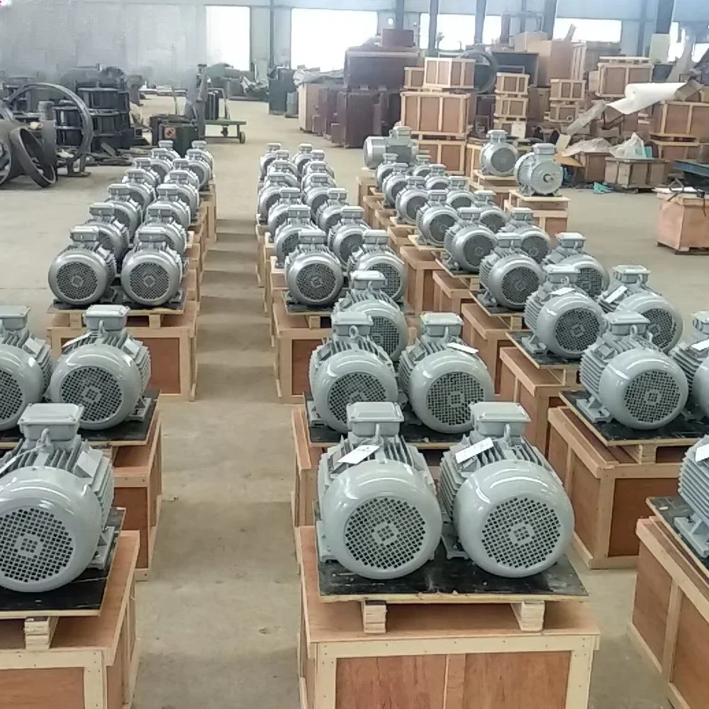 Generatore a magneti permanenti da 5 kW 10 kW 50 kW 100 kW 250 300 500 600 giri/min alternatore a magneti permanenti