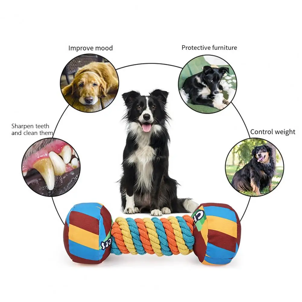 Mancuernas de arcoíris para perros, juguete de dentición resistente a las mordeduras, dientes duraderos, suministros para mascotas, tacto cómodo