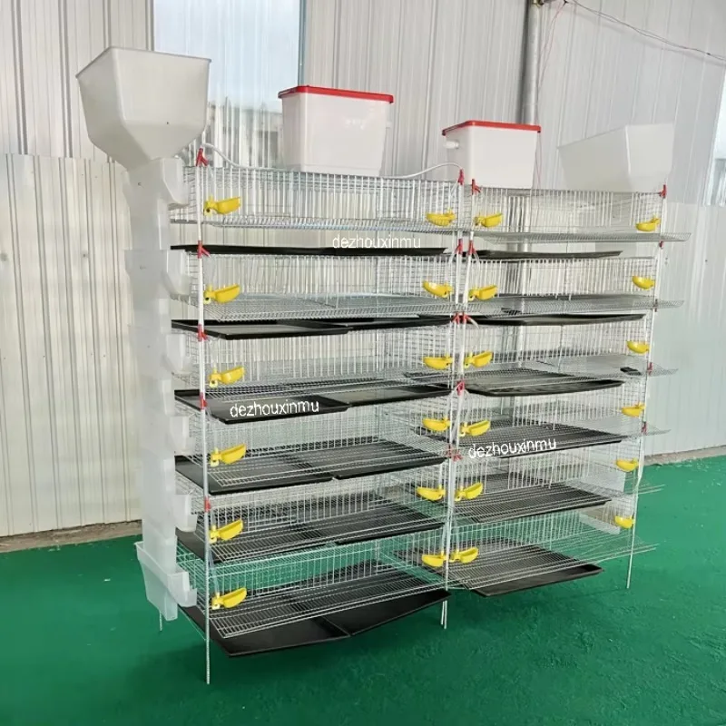 

direct supply of new condition metal quail layer cages with automatic feeding system. For sale: animal and bird quail cages