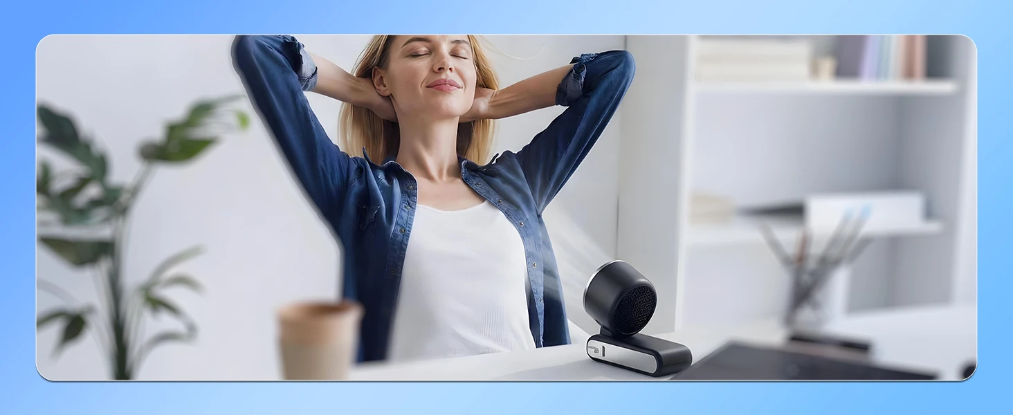 Desk Fan