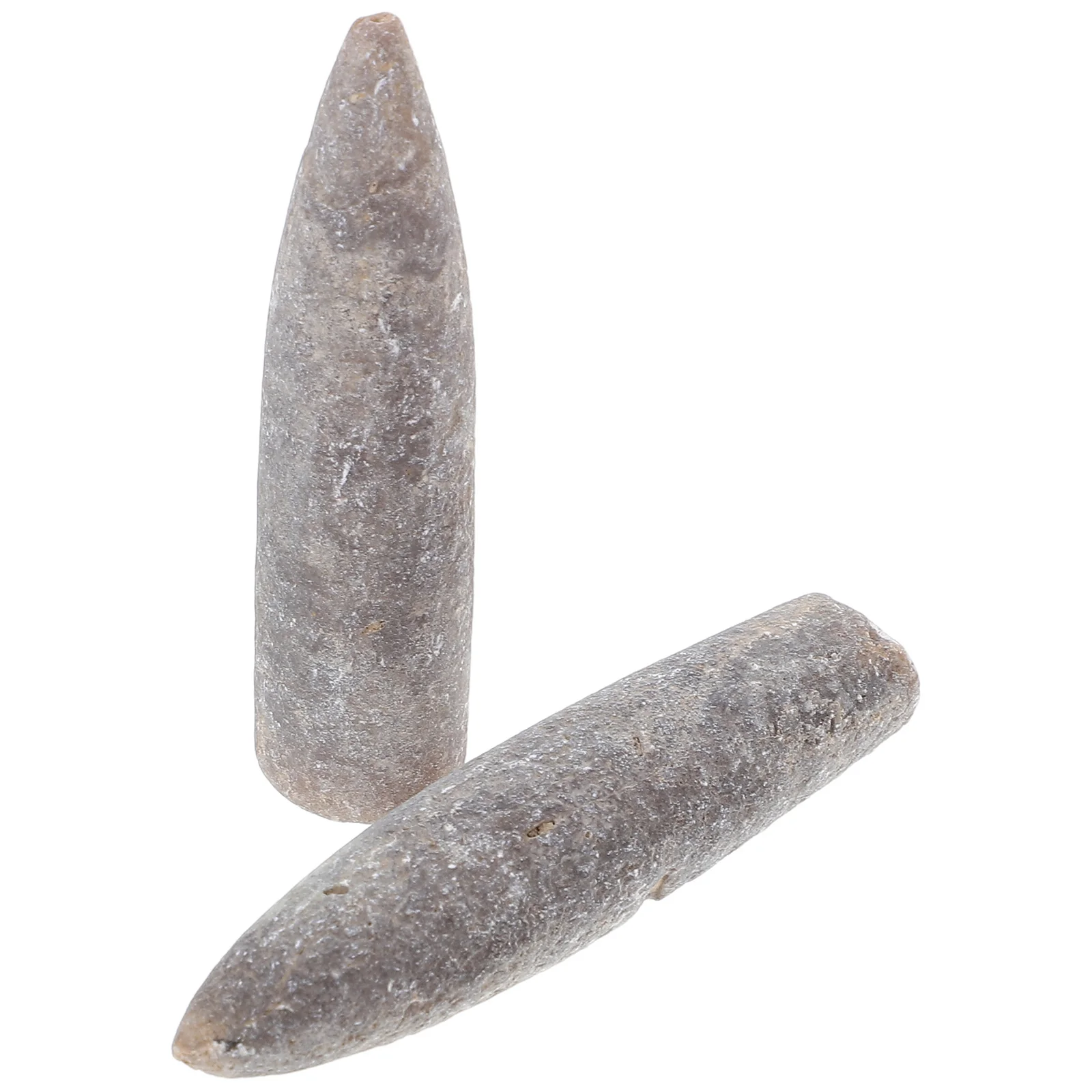 

2 Pcs Specimen Hotel Decor Education Belemnite Adornment Teaching Supply Rough Stone Decoration Ore Models Toys