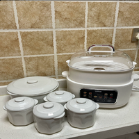 220V lotor Electric Steamer Ceramic Slow Cooker Automatic Soup Pot for Home Use DC