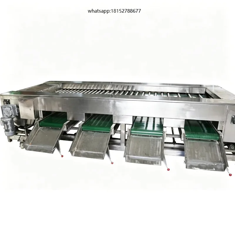 Industrial Tomato Roller Grading Equipment Orange Peach Lemon Automatic Fruit Grader Sorting Machine