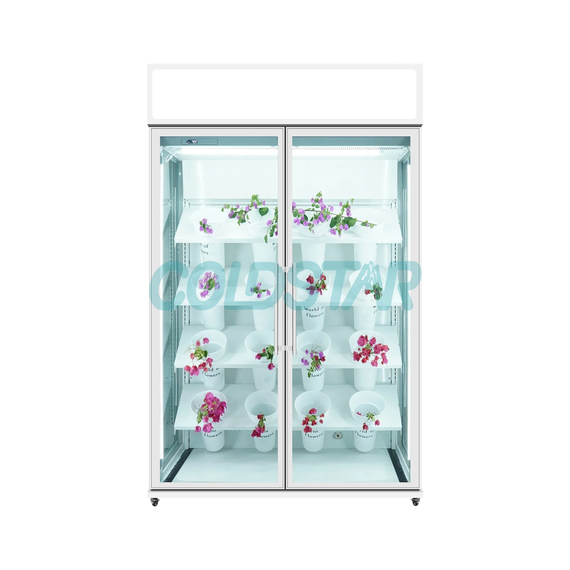Commercial Single-Temperature Flowers Refrigerated Display Cabinet Tempered Glass Door Digital Control Automatic Defrost