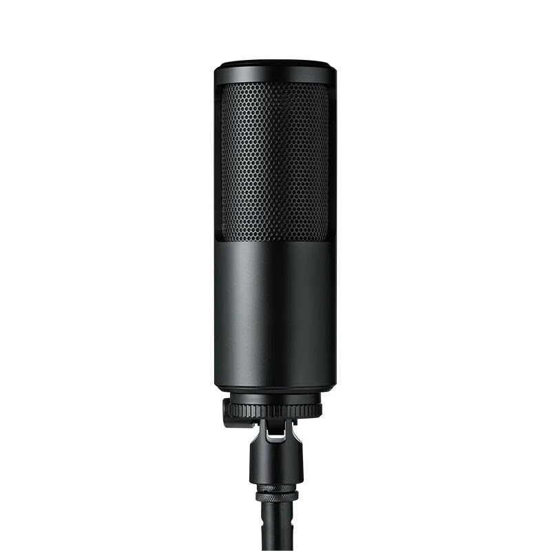 Large diaphragm condenser microphone Dual diaphragm personal recording microphone