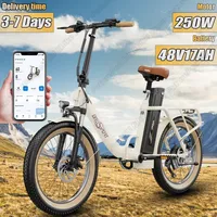 OT16 Electric Bike 250W Brushless Motor 48V17AH Removable Lithium Battery Folding Electric Bicycle 20*3.0-In Tire Aldult E-bike