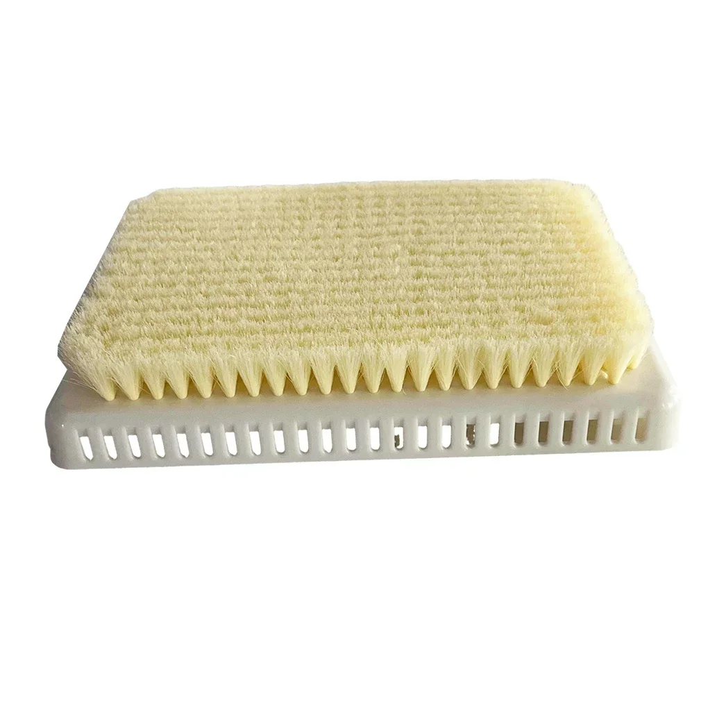 Body Rubbing Brush Back Shower Exfoliating Wash Scrub Brushes Anti-skid Massage Tool Wall Self-adhesive Scrubber