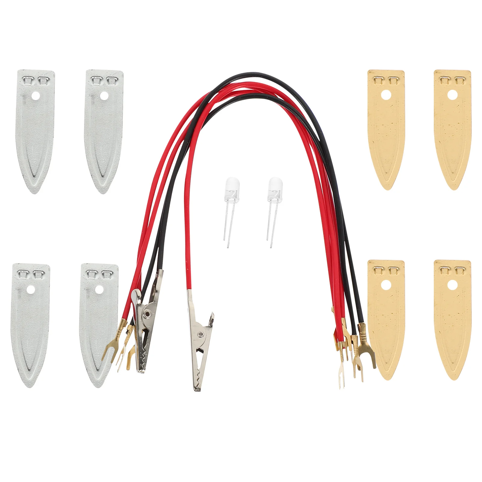 1 conjunto diy kit de experimento científico educacional de frutas para estudantes projeto científico treinamento de habilidades de pensamento analítico