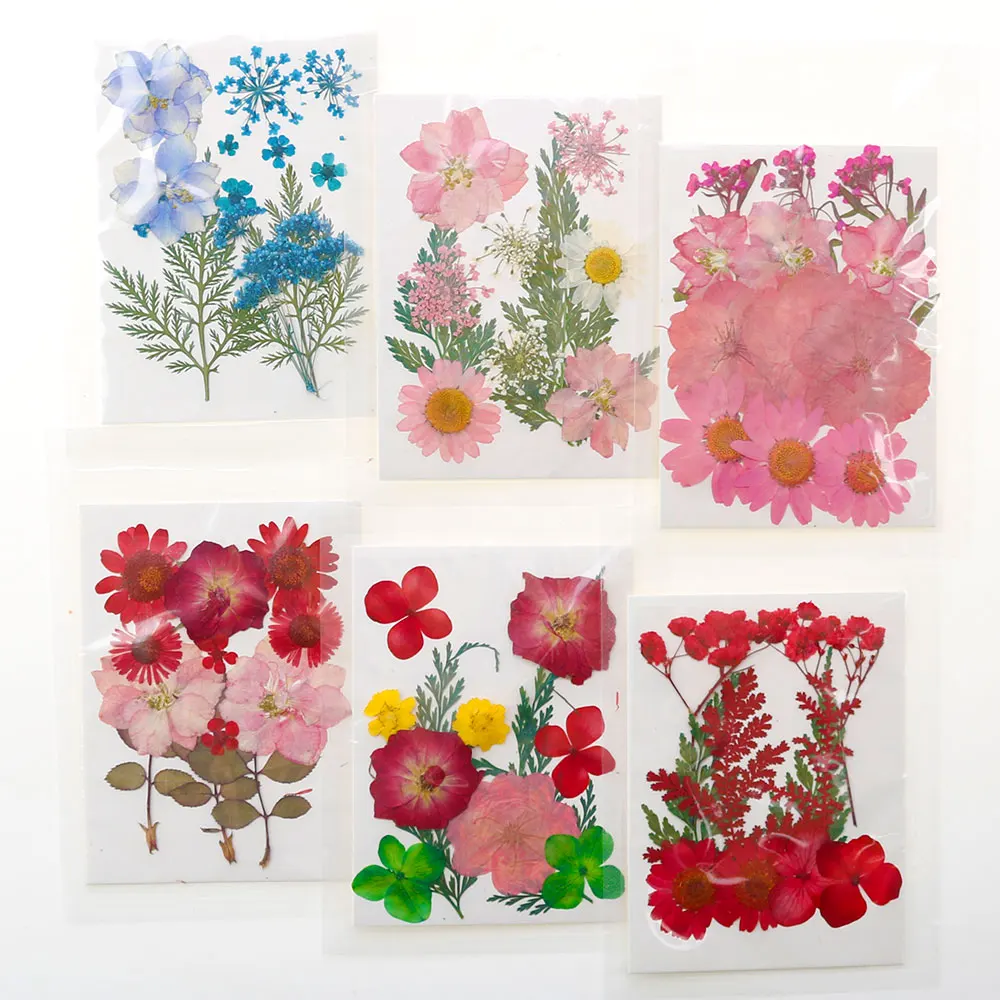 For Fun Pressed Flowers Dried Flowers Material Package for Resin Molds Dry Plants Fillings Epoxy Resin Craft DIY Nail Art Decor