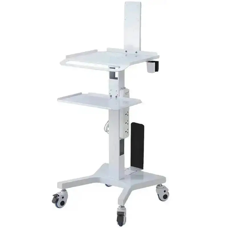 Hairdressing Auxiliary Car with Wheels Large Trolley Multifunctional Wheels Movement Carritos Organizadores Beauty Salon Cart