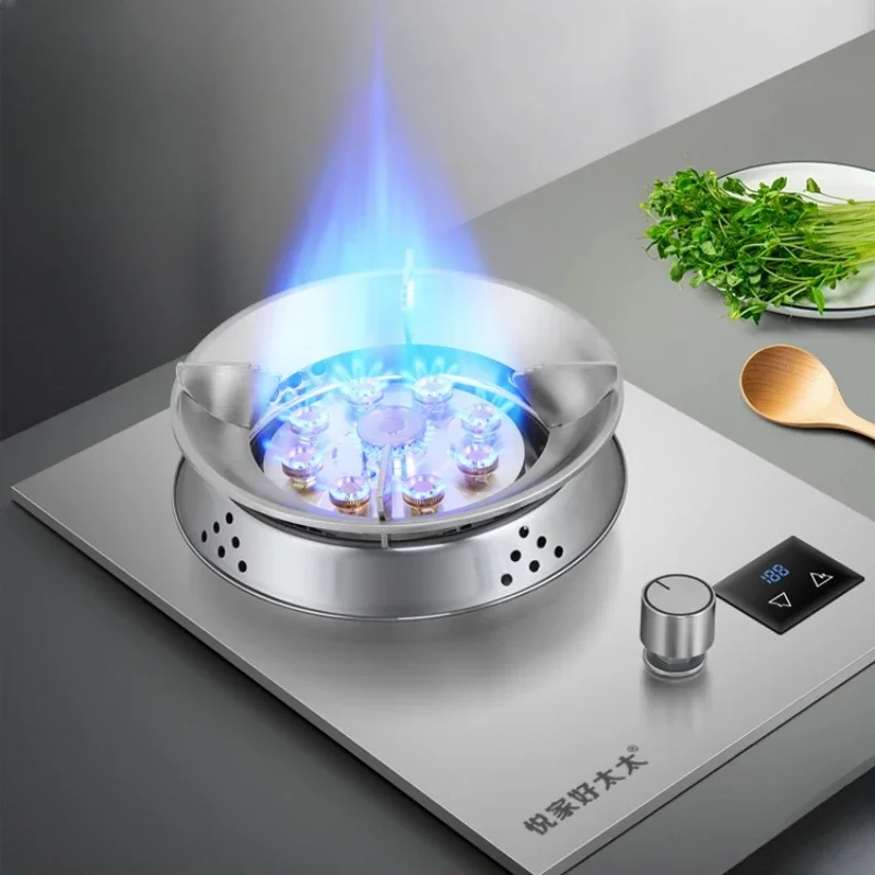 Kitchen Versatile Stainless Steel Gas Stove Household Gas Stove Liquefied Gas Natural Gas Embedded Desktop Furnace