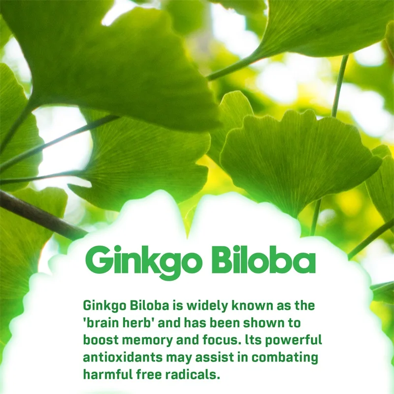 Ginkgo Biloba - Brain Enhancer, Helps Maintain Brain Power, Energy, Memory, Concentration, Anti-Fatigue, Antioxidant