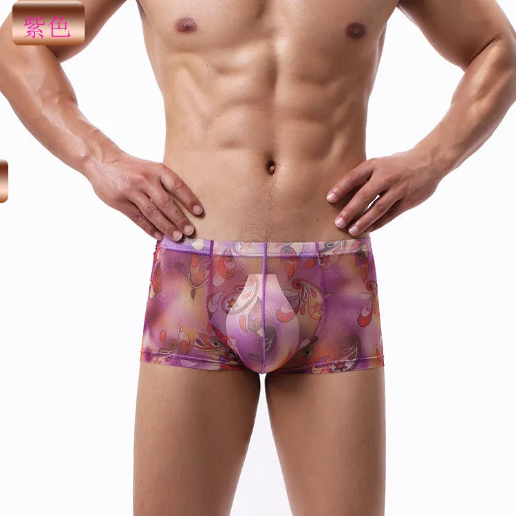 

Fancy Transparent Erotic Panties Sexy Underwear Men Boxer Shorts Mesh Convex Gay Lingerie Superskin Striking Underpants Seetru