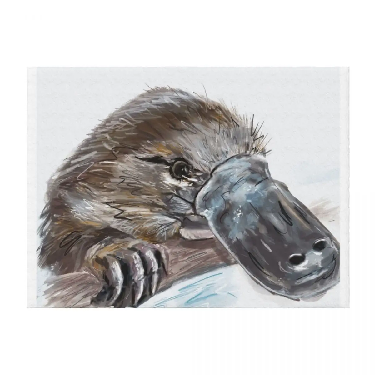 

Platypus Throw Blanket Softest Soft Beds bed plaid Extra Large Throw Blankets