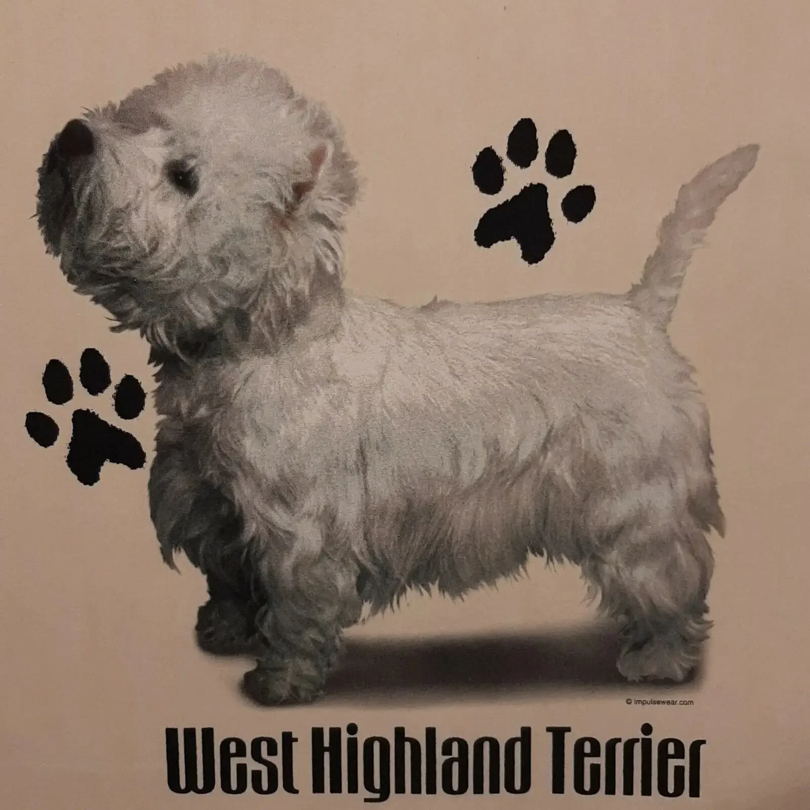 WEST HIGHLAND TERRIER DOG BREEDS PROFILE DESIGNS SHIRT FRONT PRINT ONLY vintage Washed Slightly Unisex Breathable