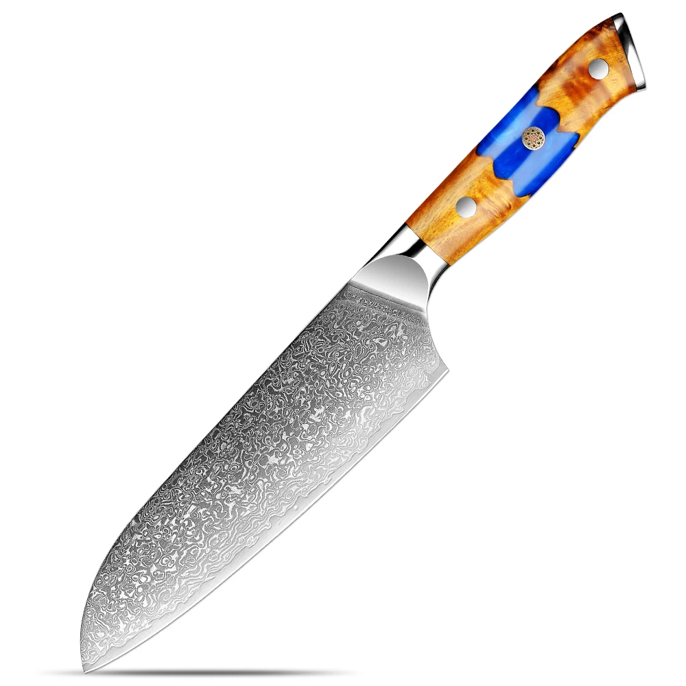 

Professional Santoku Knife 7 Inch,Blue Resin Wood Handle Japanese 67 Layers Damascus Steel Sharp Kitchen Knife for Cooking Knife
