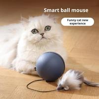 Self-moving Pet Toy Sturdy Pet Toy Electric Rolling Ball Toy for Cats Dogs Motion Activated Pet Enrichment with Tail for Indoor