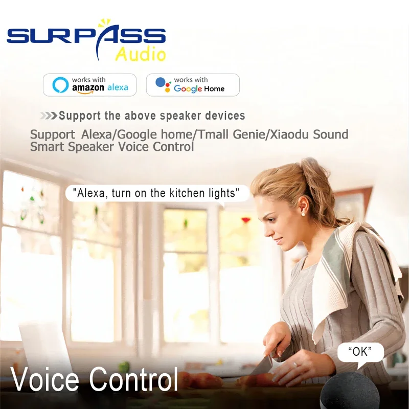 WiFi Smart Touch Switch US Standard 120 Type Waterproof Moistureproof Wall Touch Panel Work with Alexa Google Home 1/2/3/4 Gang